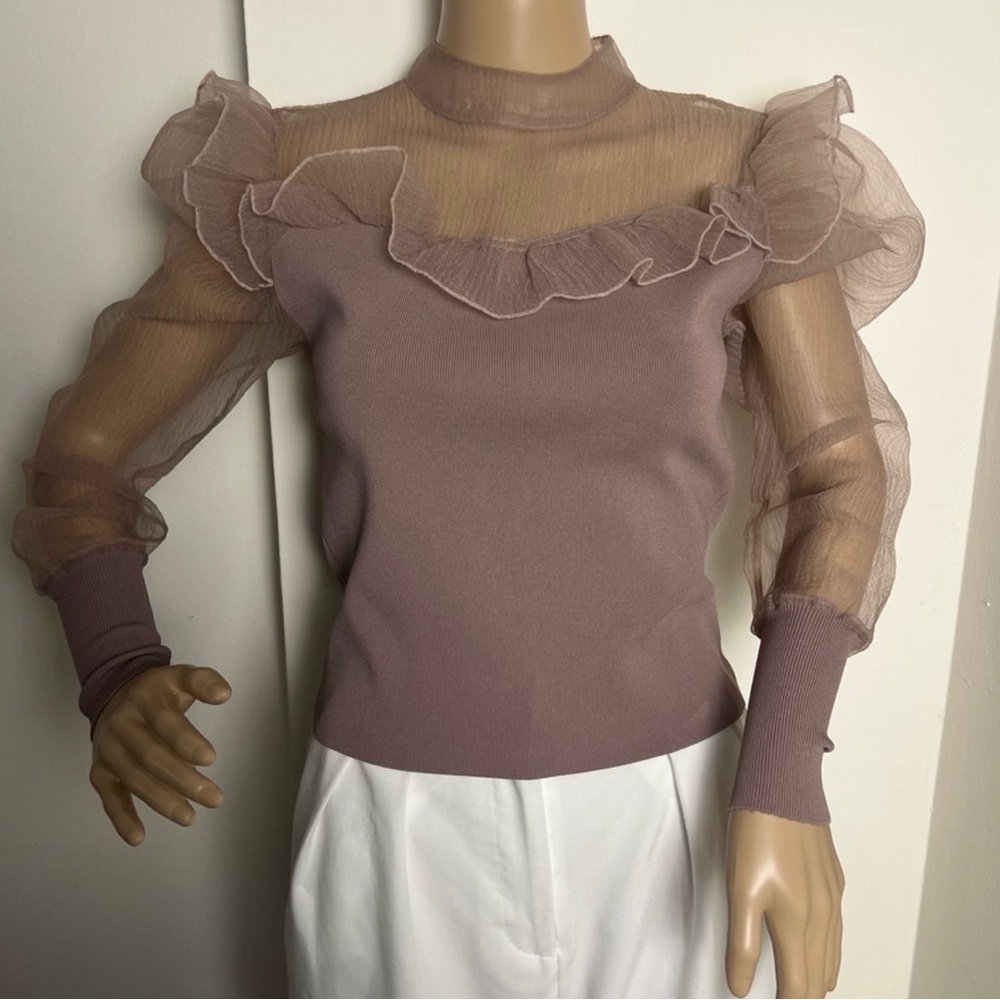 Zara Sheer Ruffle Top - Picture 2 of 5